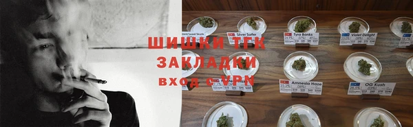 ECSTASY Новодвинск