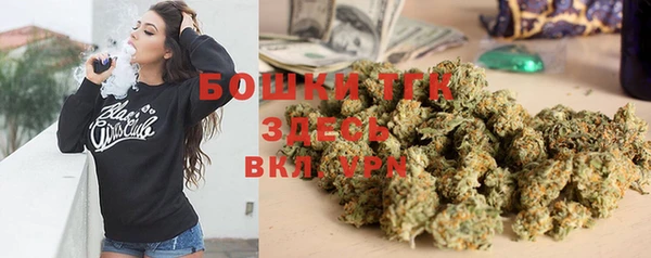 винт Бикин