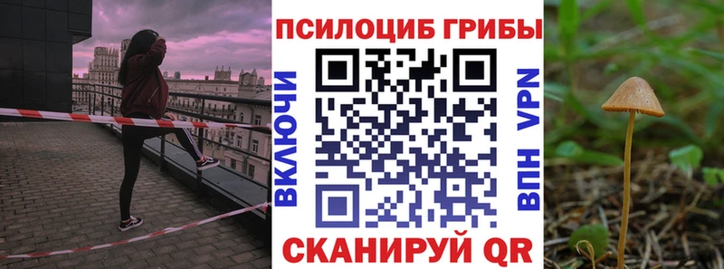 Галлюциногенные грибы прущие грибы  Струнино 